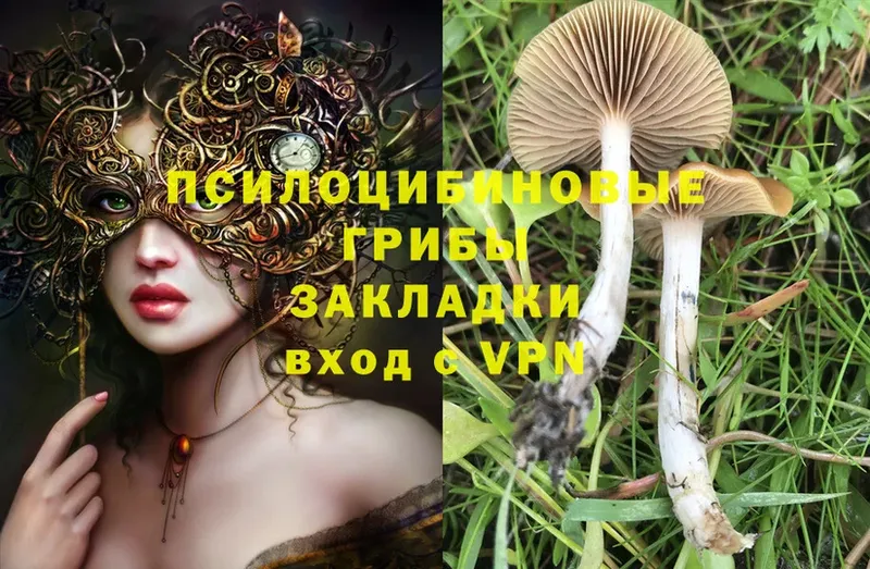 Псилоцибиновые грибы Psilocybine cubensis  mega маркетплейс  Добрянка 